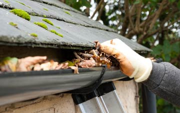 gutter cleaning Triangle